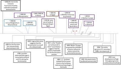 Applications of Wild Isolates of Saccharomyces Yeast for Industrial Fermentation: The Gut of Social Insects as Niche for Yeast Hybrids’ Production